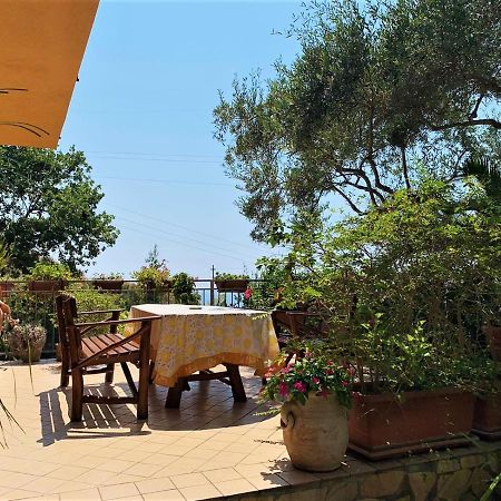 B&B Dei Fiori Praia a Mare Eksteriør billede