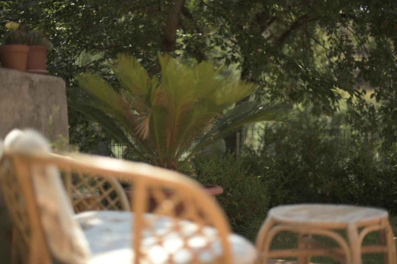 B&B Dei Fiori Praia a Mare Eksteriør billede