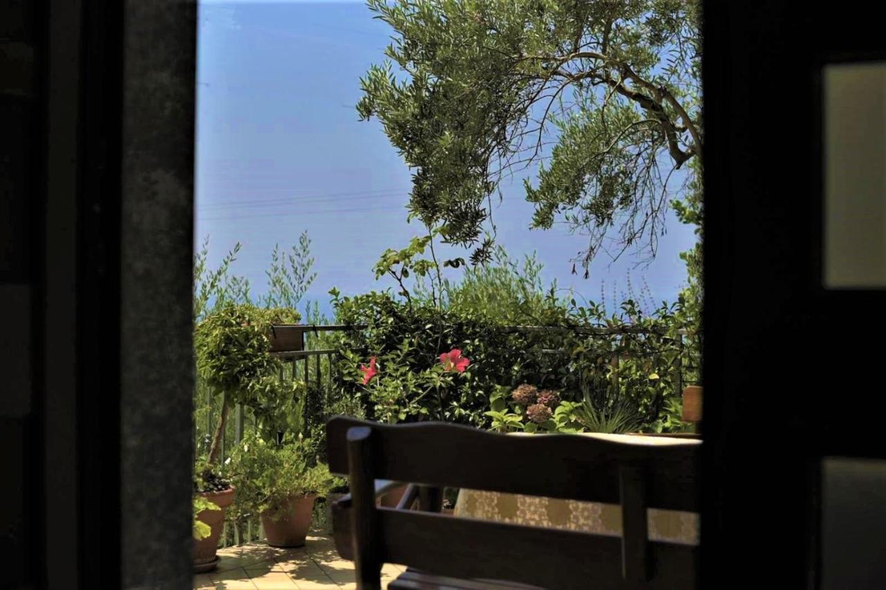 B&B Dei Fiori Praia a Mare Eksteriør billede