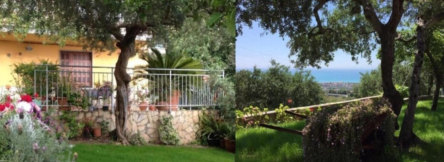 B&B Dei Fiori Praia a Mare Eksteriør billede