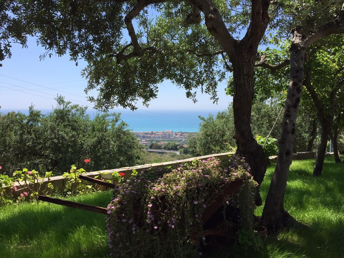 B&B Dei Fiori Praia a Mare Eksteriør billede