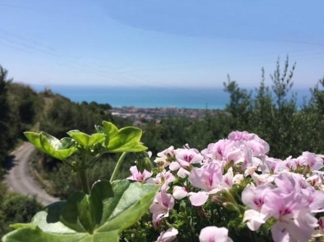 B&B Dei Fiori Praia a Mare Eksteriør billede