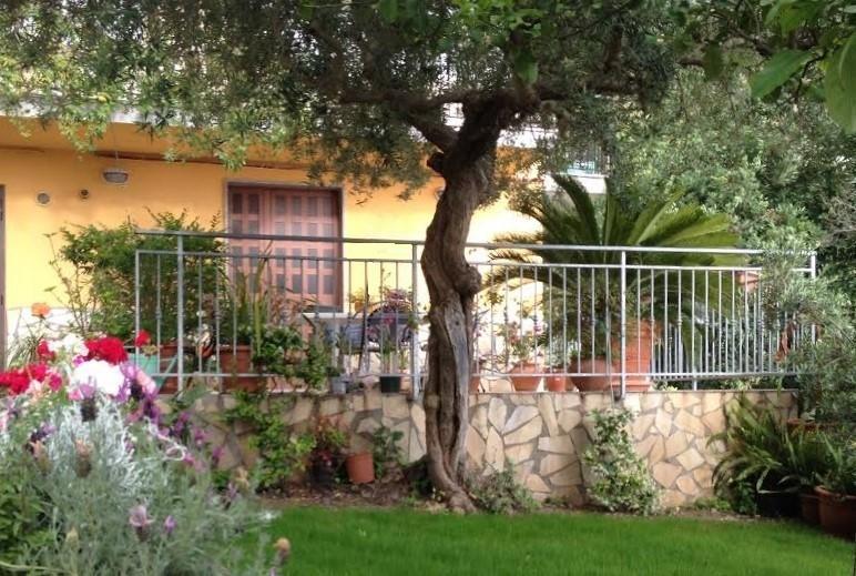 B&B Dei Fiori Praia a Mare Eksteriør billede