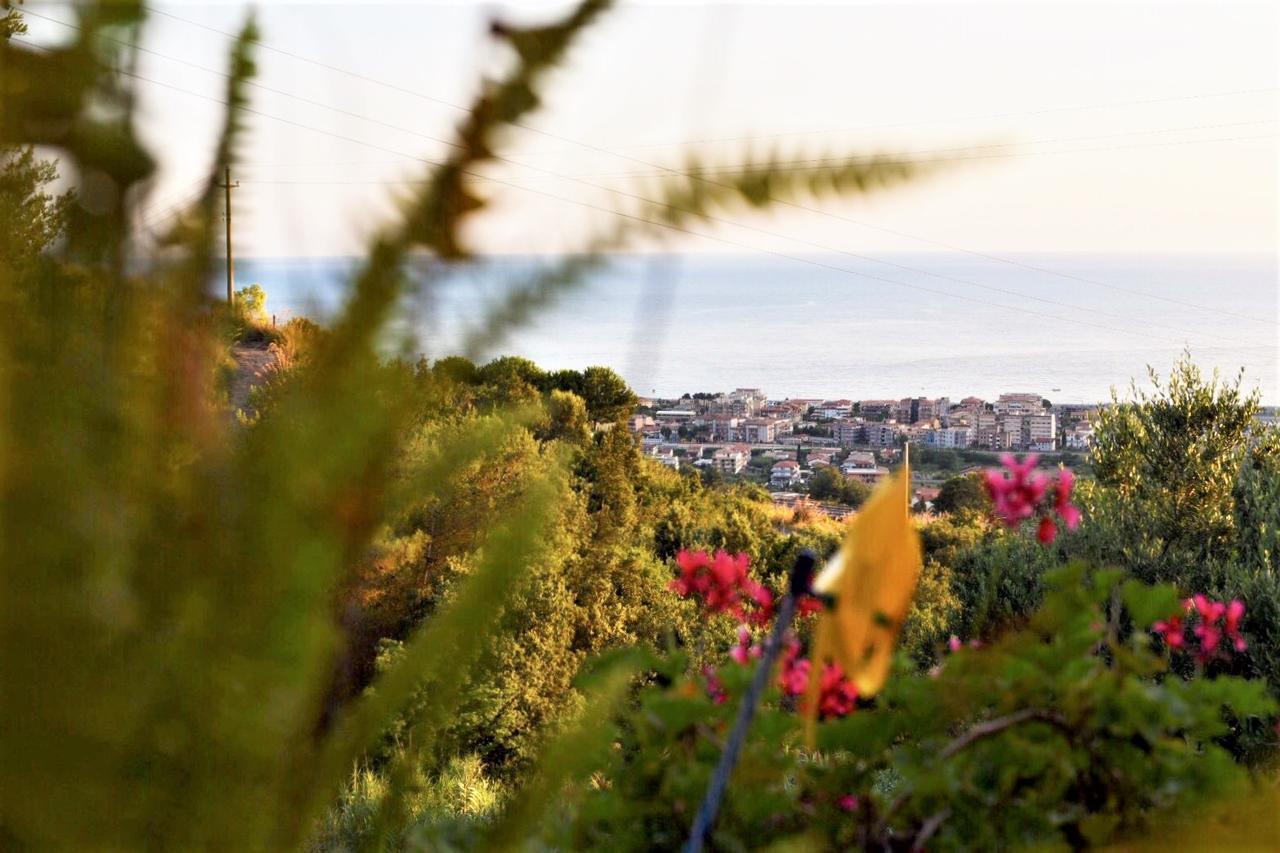 B&B Dei Fiori Praia a Mare Eksteriør billede